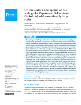 Scale Gecko (Squamata: Gekkonidae: Geckolepis) with Exceptionally Large Scales