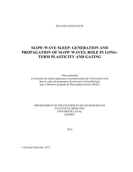 Generation and Propagation of Slow Waves, Role in Long- Term Plasticity and Gating