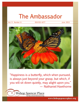 The Ambassador