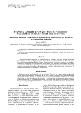 Bournonia Excavata (D’Orbigny) from the Campanian- Maastrichtian of Stranice (North-East of Slovenia)