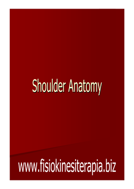 Shoulder Anatomy