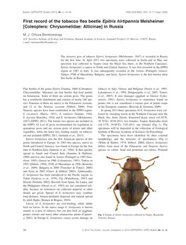 First Record of the Tobacco Flea Beetle Epitrix Hirtipennis Melsheimer