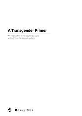 A Transgender Primer