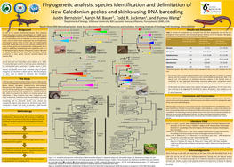 Background This Study Methodology Results and Discussion