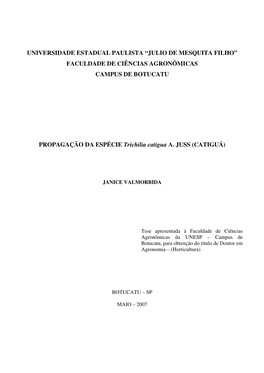 Valmorbida J Dr Botfca.Pdf (637.7Kb)