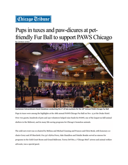 Pups in Tuxes at Pet-Friendly Fur Ball to Support PAWS Chicago