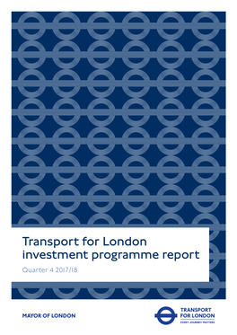 Investment Programme Report