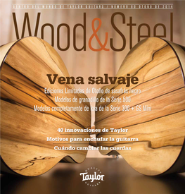 Dentro Del Mundo De Taylor Guitars