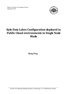 Kylo Data Lakes Configuration Deployed in Public Cloud Environments in Single Node Mode