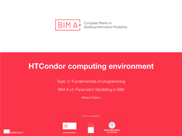 Htcondor Computing Environment