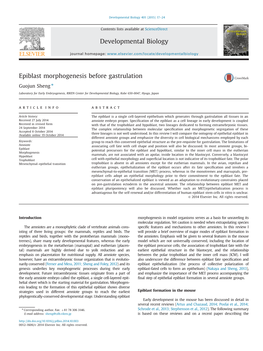 Epiblast Morphogenesis Before Gastrulation