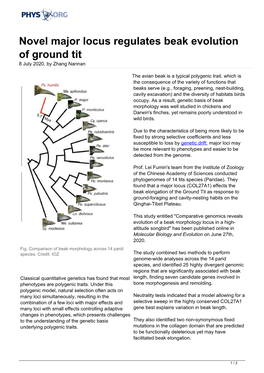 Novel Major Locus Regulates Beak Evolution of Ground Tit 8 July 2020, by Zhang Nannan