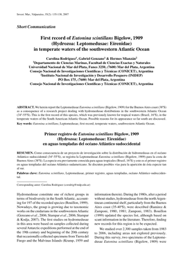 Hydrozoa: Leptomedusae: Eirenidae) in Temperate Waters of the Southwestern Atlantic Ocean