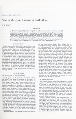 Notes on the Genus Cussonia in South Africa