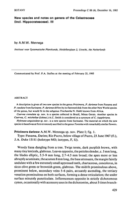 Holotype MO; Isotypes, Woody Liana Dangling F