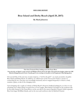Brae Island and Derby Reach (April 29, 2017)