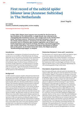 First Record of the Salticid Spider Sibianor Larae (Araneae: Salticidae) in the Netherlands