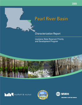 Pearl River Basin Report FINAL 4.Pdf