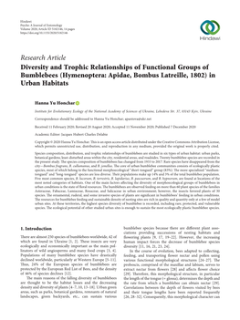 Diversity and Trophic Relationships of Functional Groups of Bumblebees (Hymenoptera: Apidae, Bombus Latreille, 1802) in Urban Habitats
