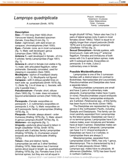 Lamprops Quadriplicata Subphylum: Crustacea Class: Malacostraca Order: Cumacea a Cumacean (Smith, 1879) Family: Lampropidae
