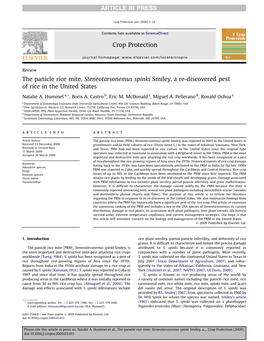 The Panicle Rice Mite, Steneotarsonemus Spinki Smiley, a Re-Discovered Pest of Rice in the United States