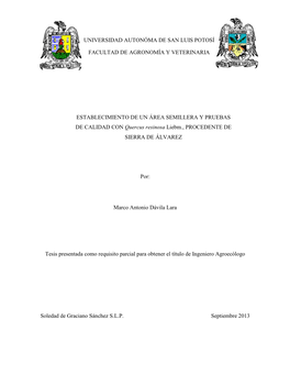 Por: Marco Antonio Dávila Lara Tesis Presentada Como Requisito Parcial