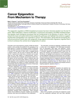 Cancer Epigenetics: from Mechanism to Therapy