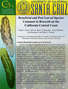 Beneficial and Pest Larval Species Common to Broccoli on the California Central Coast