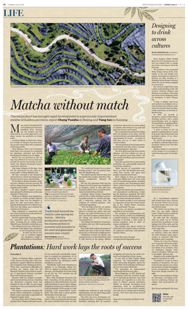 Matcha Without Match Esting Experience in Brewing It,” Quarroz Says