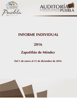 Formato De Informe Individual;