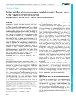 Trka Mediates Retrograde Semaphorin 3A Signaling Through Plexin A4 To