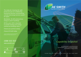 Capability Snapshot