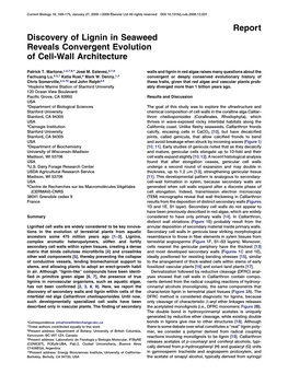 Discovery of Lignin in Seaweed Reveals Convergent Evolution of Cell-Wall Architecture