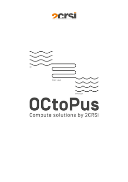 Octopus Compute Solutions by 2Crsi Table of Contents