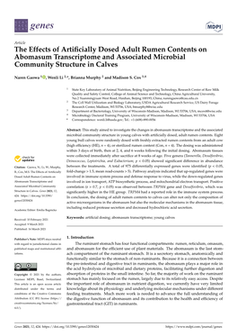 The Effects of Artificially Dosed Adult Rumen Contents on Abomasum