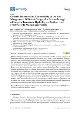 Genetic Structure and Connectivity of the Red Mangrove at Different