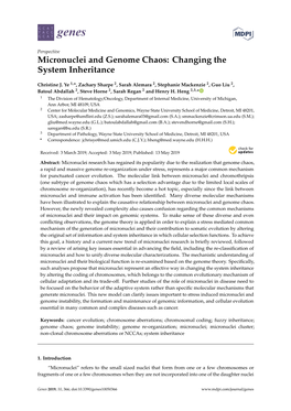 Micronuclei and Genome Chaos: Changing the System Inheritance