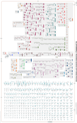 Generate Metabolic Map Poster