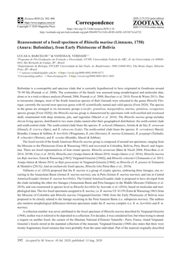 Reassessment of a Fossil Specimen of Rhinella Marina (Linnaeus, 1758) (Anura: Bufonidae), from Early Pleistocene of Bolivia