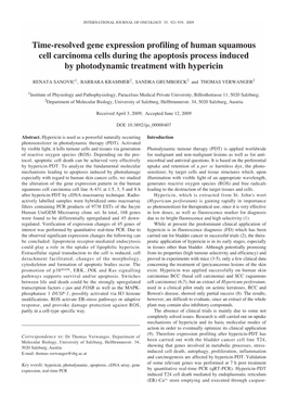 Time-Resolved Gene Expression Profiling of Human Squamous Cell Carcinoma Cells During the Apoptosis Process Induced by Photodynamic Treatment with Hypericin