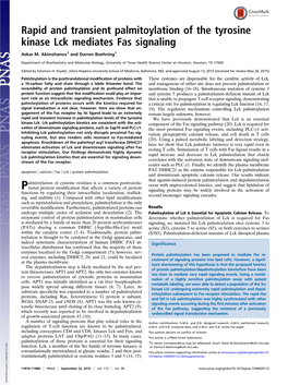 Palmitoylation of the Tyrosine Kinase Lck Mediates Fas Signaling