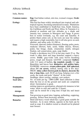 Albizia Lebbeck Mimosoideae