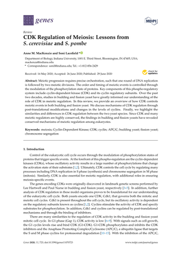 CDK Regulation of Meiosis: Lessons from S. Cerevisiae and S. Pombe