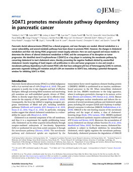 SOAT1 Promotes Mevalonate Pathway Dependency in Pancreatic Cancer