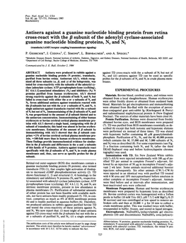 Guanine Nucleotide Binding Proteins, N, and Ni (Transducin/Camp/Receptor Coupling/Transmembrane Signaling) P