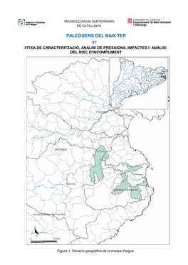 Paleògens Del Baix Ter 07 Fitxa De Caracterització, Anàlisi De Pressions, Impactes I Anàlisi Del Risc D'incompliment