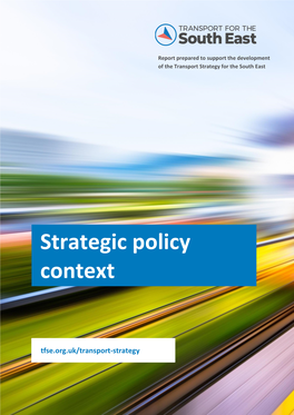 Strategic Policy Context