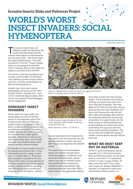 Social Hymenoptera