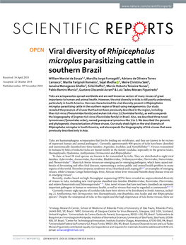 Viral Diversity of Rhipicephalus Microplus Parasitizing Cattle in Southern Brazil