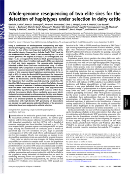 Whole-Genome Resequencing of Two Elite Sires for the Detection of Haplotypes Under Selection in Dairy Cattle